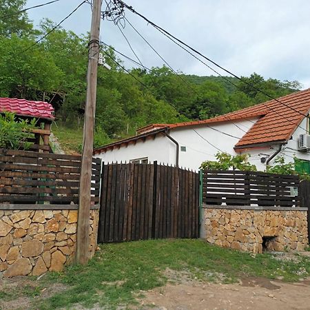 Villa Andrei Sasca Montană Exterior foto
